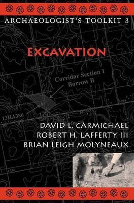Excavation(English, Electronic book text, Molyneaux Brian Leigh)