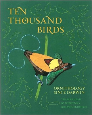 Ten Thousand Birds(English, Hardcover, Birkhead Tim)