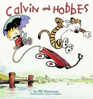 Calvin and Hobbes(English, Paperback, Watterson Bill)