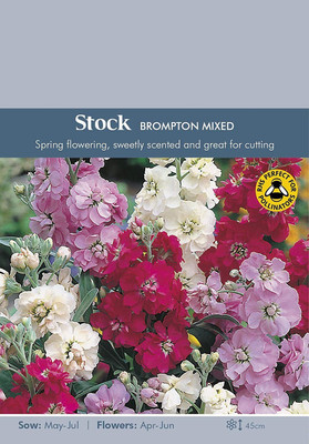 VibeX PAU-9-Flower - Stock Virginian Mixed Seed(100 per packet)