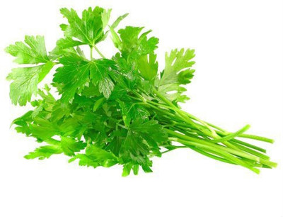 Airex CHERVIL HERB SEEDS (PACK OF 50 SEEDS X 1 PACKET Seed(50 per packet)