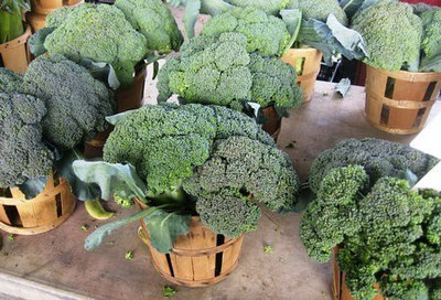 sporos BROCCOLI Seed(20 per packet)