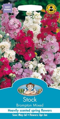 VibeX HUA-70-Stock Mix Flower Seeds (Matthiola Incana Ten Week Mix) Seed(50 per packet)