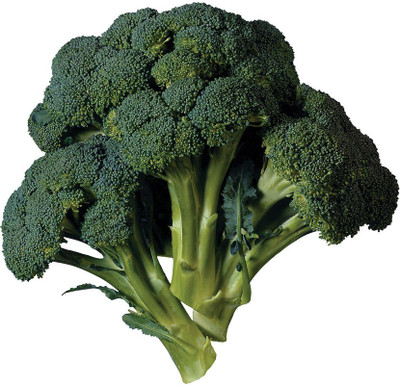 sporos BROCCOLI Seed(20 per packet)