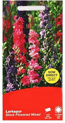CYBEXIS Flower - Stock Brompton Mixed Seed(1 g)
