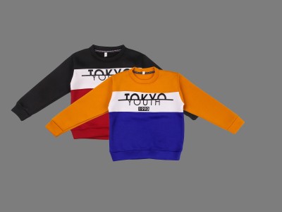 ANIXA Full Sleeve Color Block Boys & Girls Sweatshirt