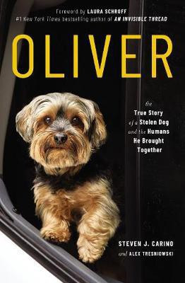 Oliver(English, Paperback, Carino Steven J.)