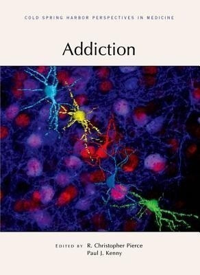 Addiction(English, Paperback, Pierce R Christopher)