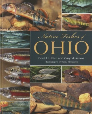 Native Fishes of Ohio(English, Paperback, Rice Daniel L.)