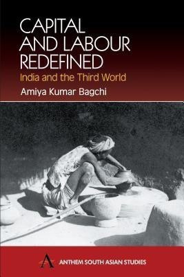 Capital and Labour Redefined(English, Paperback, Kumar Bagchi Amiya)