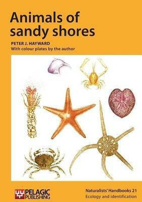Animals of sandy shores(English, Paperback, Hayward Peter J.)