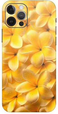 aadia APPLE Iphone 12 PRO MAX Mobile Skin(Multicolor)