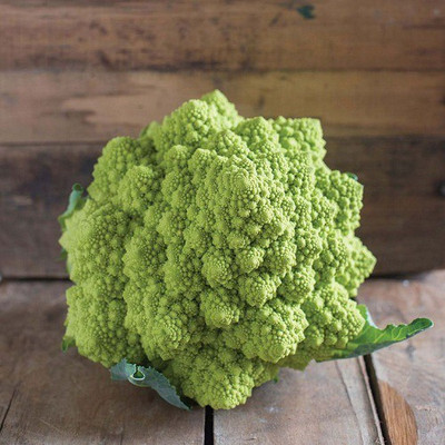 Sjeme Puntoverde AKA 26-70 broccoli seed Seed(10 per packet)
