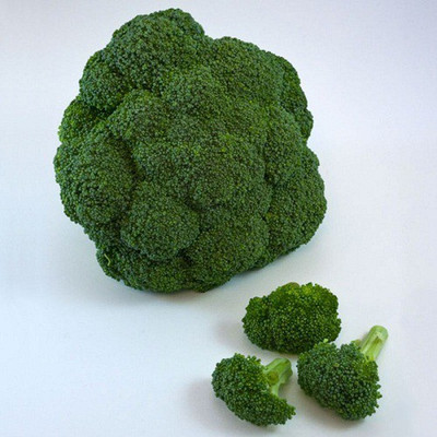 Sjeme Lieutenant broccoli seed Seed(60 per packet)