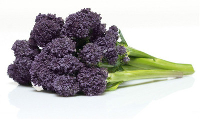 Sjeme Burgundy broccoli seed Seed(80 per packet)