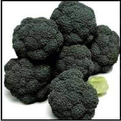 Sjeme Paraiso broccoli seed Seed(60 per packet)