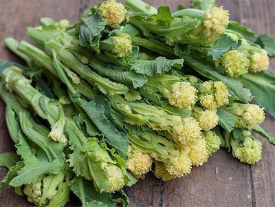 Sjeme White Sprouting broccoli seed Seed(60 per packet)