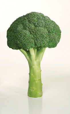 Sjeme Avenger broccoli seed Seed(15 per packet)