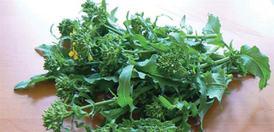 Sjeme Sessantina Grossa broccoli seed Seed(10 per packet)