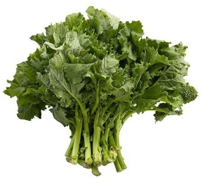 Sjeme Maceratese broccoli seed Seed(15 per packet)