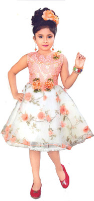 

Hey Baby Girls Mini/Short Party Dress(Multicolor, Sleeveless