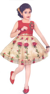 

Hey Baby Girls Mini/Short Party Dress(Red, Sleeveless