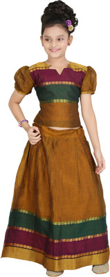 

Bhartiya Paridhan Girls Lehenga Choli Ethnic Wear Self Design Lehenga Choli(Multicolor, Pack of 1, Brown