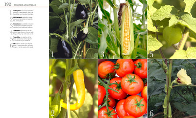 Grow Vegetables(English, Hardcover, Buckingham Alan)
