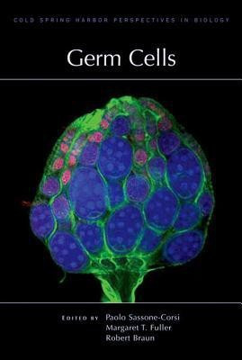 Germ Cells(English, Hardcover, unknown)