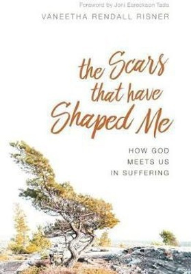 The Scars That Have Shaped Me(English, Paperback, Risner Vaneetha Rendall)