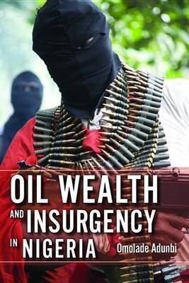 Oil Wealth and Insurgency in Nigeria(English, Electronic book text, Adunbi Omolade)