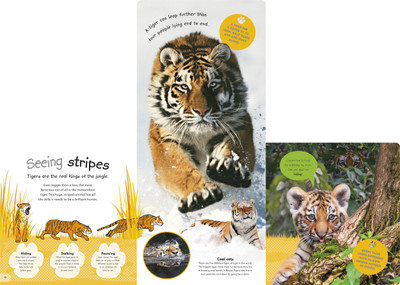 The Incredible Fold-Out Book of Animals(English, Hardcover, DK)