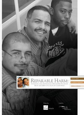 Reparable Harm--Executive Summary(English, Paperback, Davis Lois M)