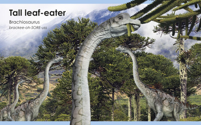 My First Dinosaur(English, Board book, DK)