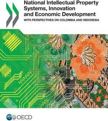 National intellectual property systems, innovation and economic development(English, Paperback, Organisation for Economic Co-operation, Development)