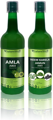 Naturewell Organics Premium Amla/Neem Karela Jamun for Building Immunity and Digestion Booster /Pack of 2(2 x 500 ml)