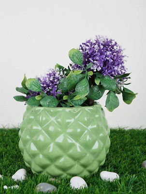 SBC Plant Container Set(Ceramic)
