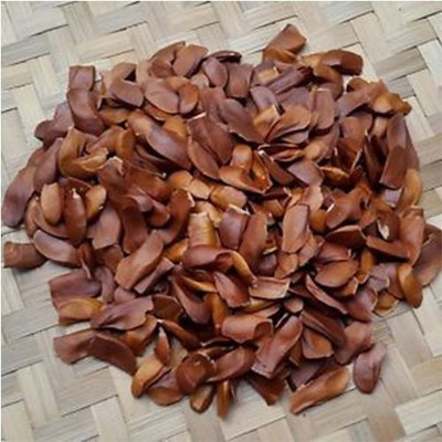 LYRS Swietenia Mahogany Seed Seed(140 per packet)