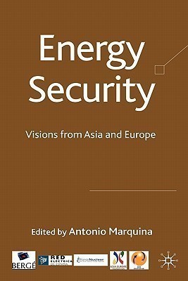 Energy Security(English, Hardcover, unknown)