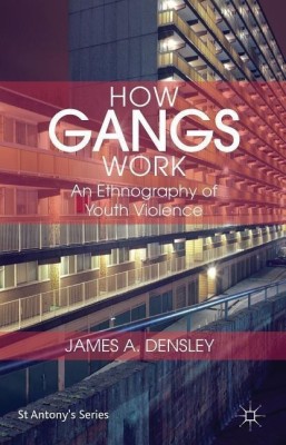 How Gangs Work(English, Hardcover, Densley J.)