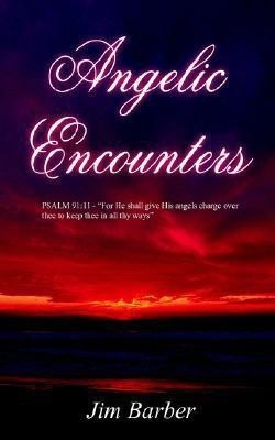 Angelic Encounters(English, Paperback, Barber Jim)