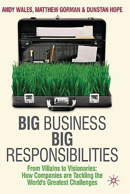 Big Business, Big Responsibilities(English, Hardcover, Wales A.)