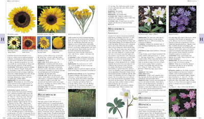 RHS Encyclopedia Of Herbs(English, Hardcover, DK)