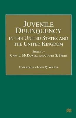 Juvenile Delinquency in the United States and the United Kingdom(English, Paperback, unknown)