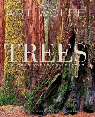 Trees(English, Hardcover, McNamee Gregory)