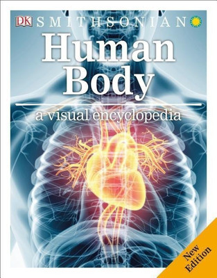 Human Body: A Visual Encyclopedia(English, Paperback, DK)