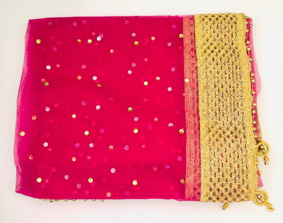 APNA KAPDA BAZAAR Net Embroidered Women Dupatta