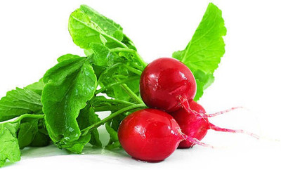 sporos RED ROUND RADISH Seed(20 per packet)
