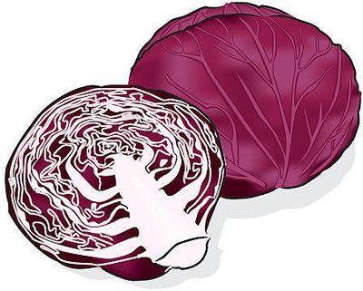 sporos RED CABBAGE Seed(20 per packet)