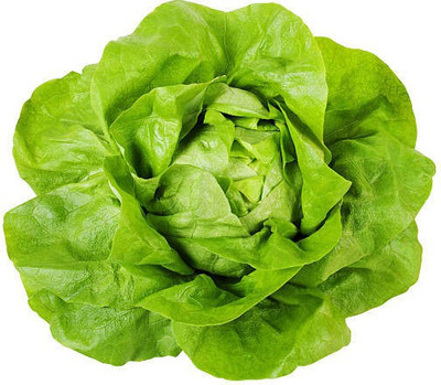 sporos LETTUCE Seed(20 per packet)